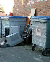 picture of rubbish piled beside bins